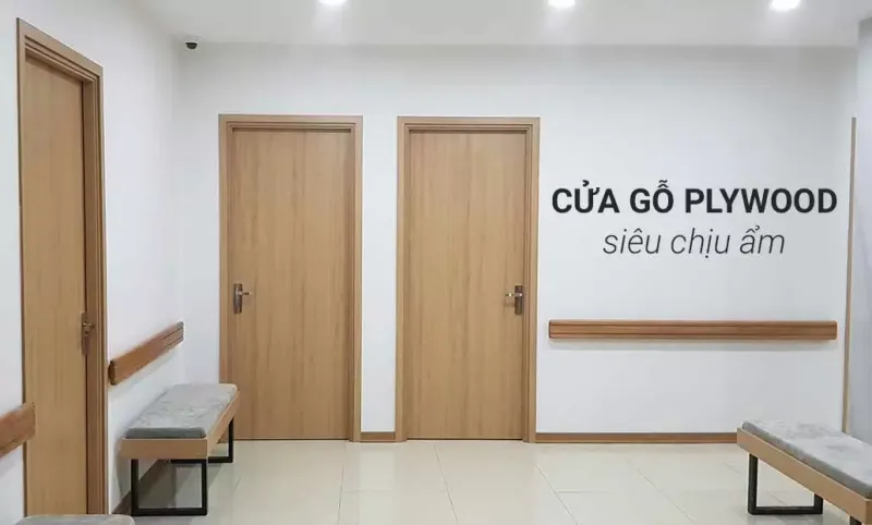Quầy gỗ plywood đang dần được ưa chuộng