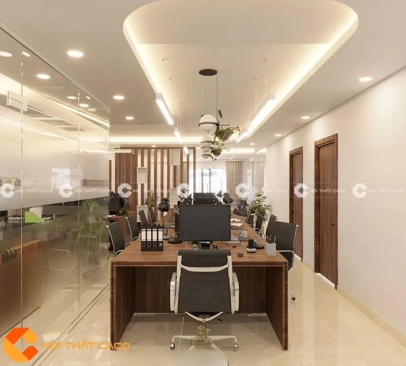 Thi công văn phòng mẫu gỗ sang trọng