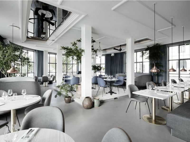 Cải lánh Bắc Âu Scandinavian Style