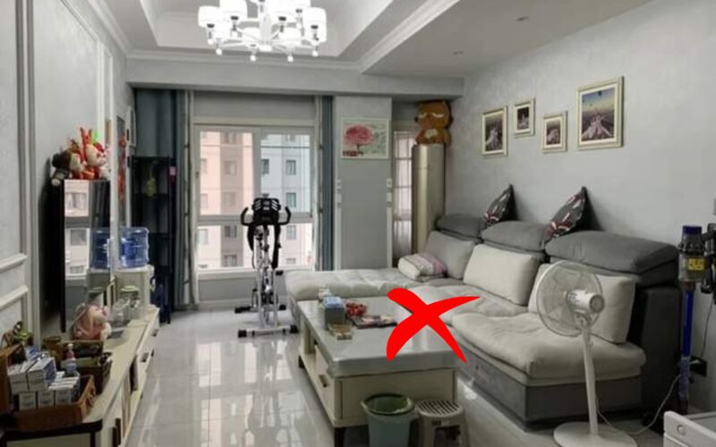 Hình ảnh 4
