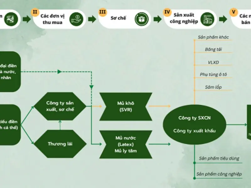 Quy trình sản xuất sơ bộ các bước xử lý gỗ cao su
