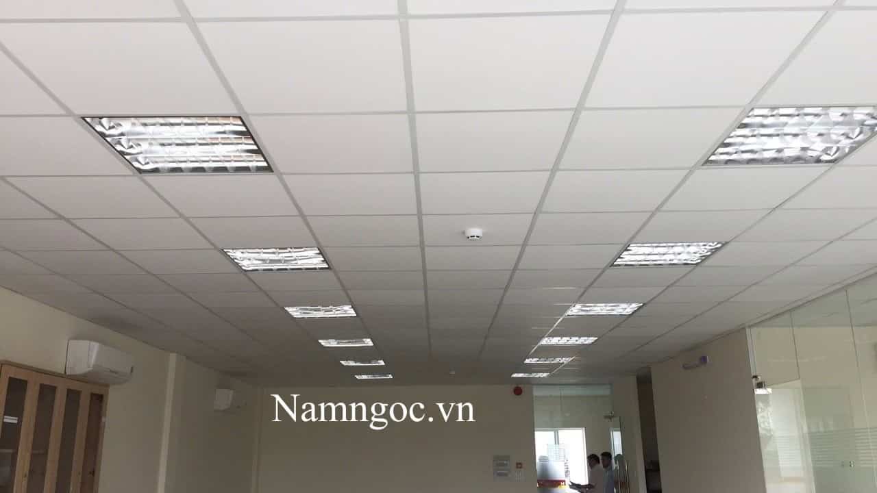 Mẫu trần thạch cao thả