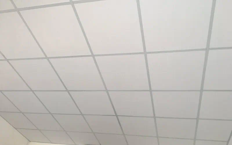 Mẫu trần thạch cao với màu sơn trang nhã