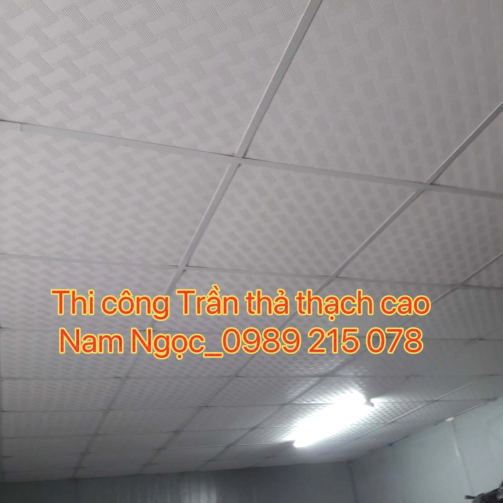 Mẫu trần thạch cao thả
