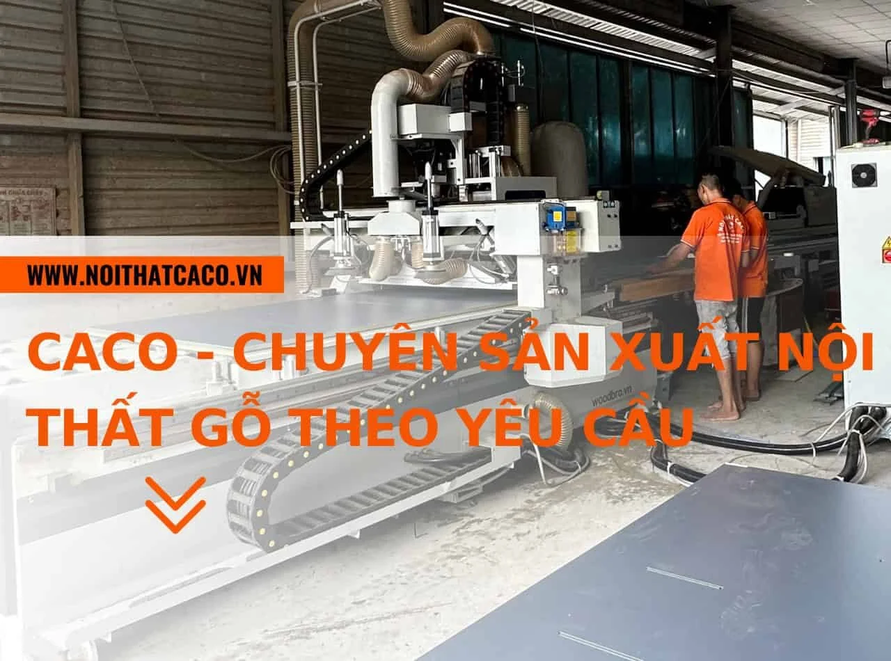 Ảnh minh họa trong bài viết