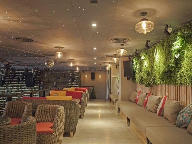 Ảnh minh họa trong bài viết