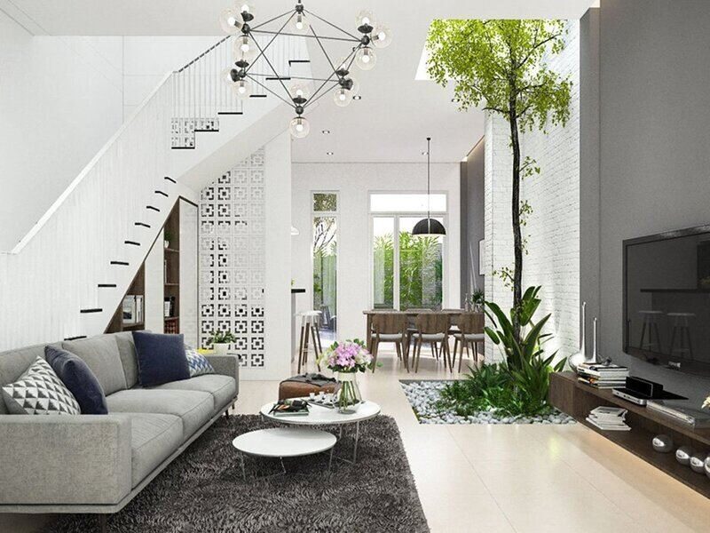 Ảnh minh họa trong bài viết