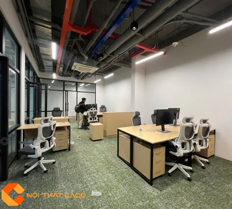 Ảnh minh họa trong bài viết