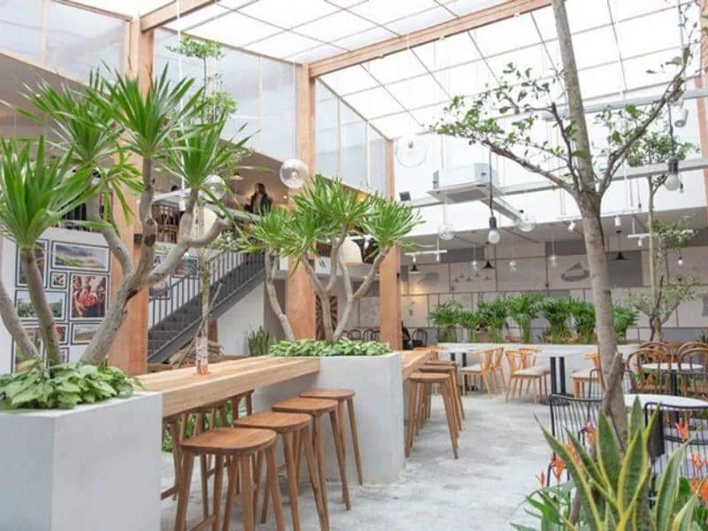 Ảnh minh họa trong bài viết