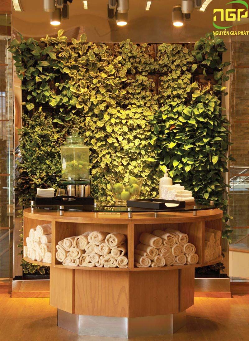 Thi Công Spa Biên Hòa 12 Top những mẫu spa đẹp