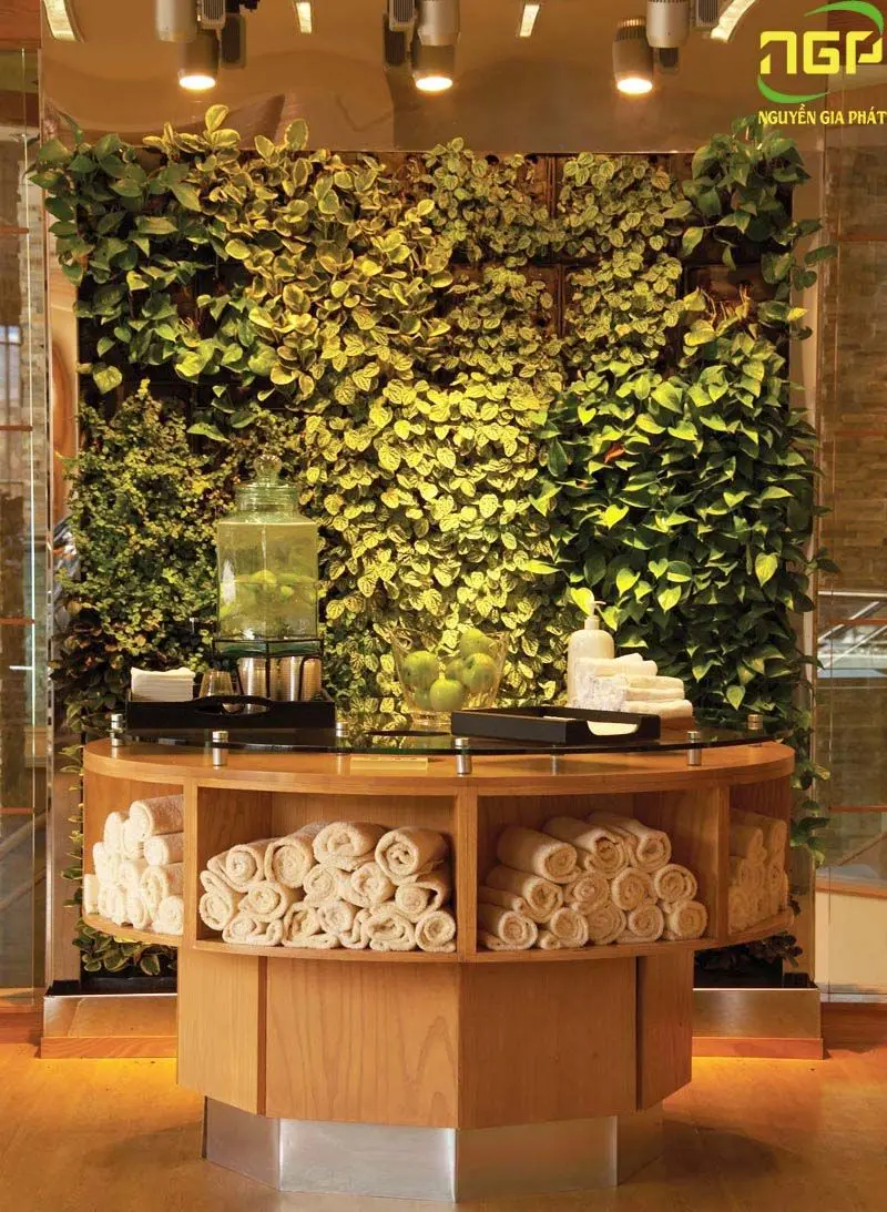 Top những mẫu spa đẹp