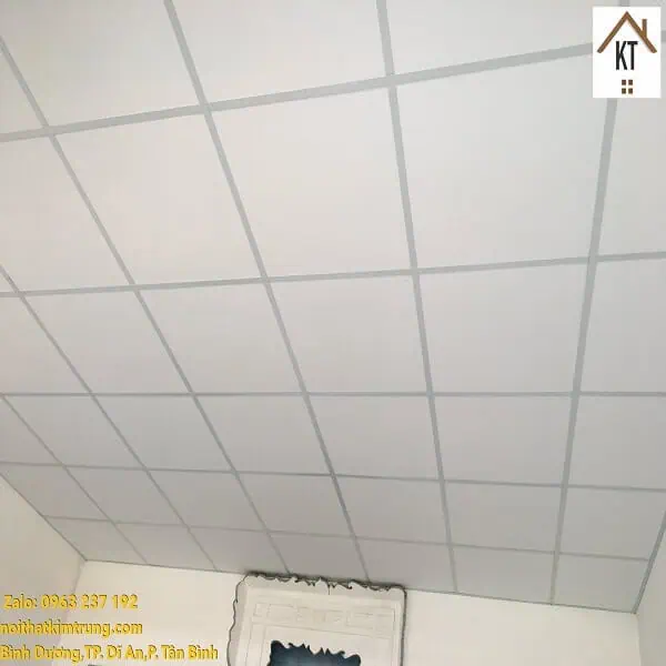 Trần thạch cao thả mẫu 4