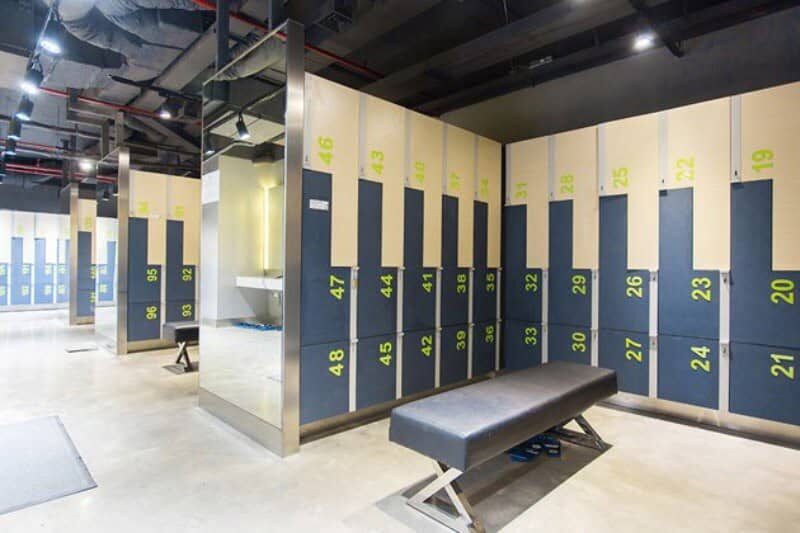 Ảnh minh họa trong bài viết