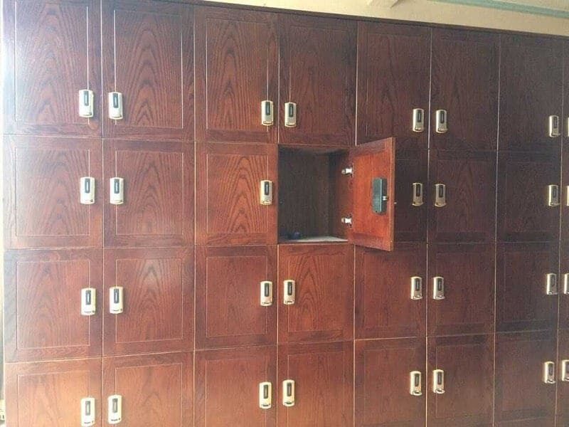 Ảnh minh họa trong bài viết