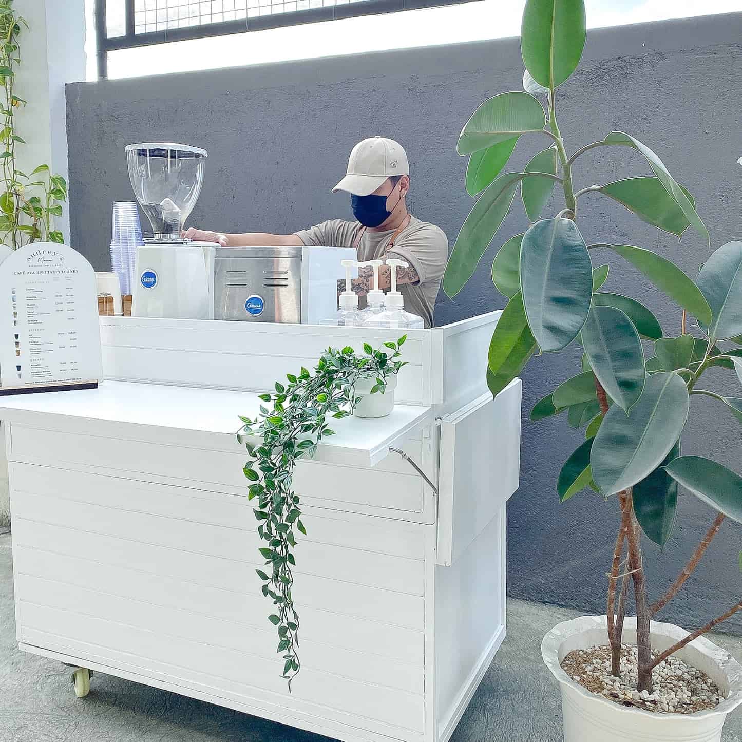 Ảnh minh họa trong bài viết